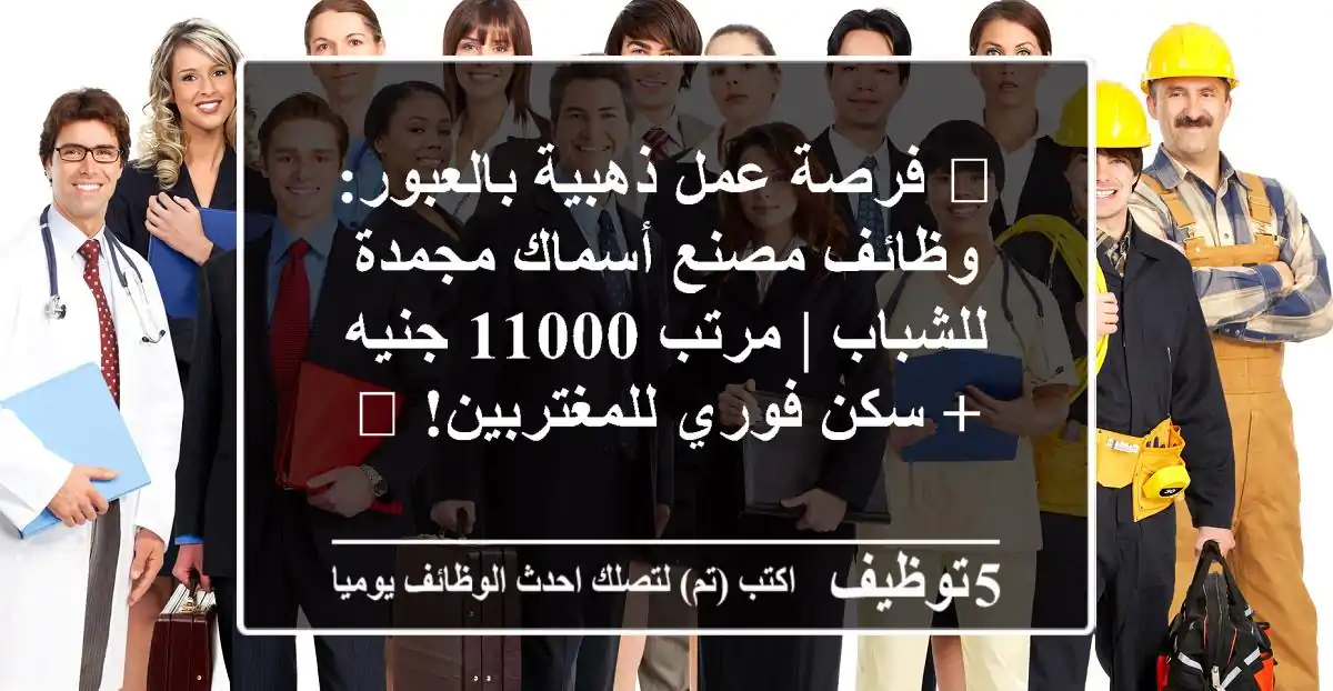 🔥 فرصة عمل ذهبية بالعبور: وظائف مصنع أسماك مجمدة للشباب | مرتب 11000 جنيه + سكن فوري للمغتربين! 🔥